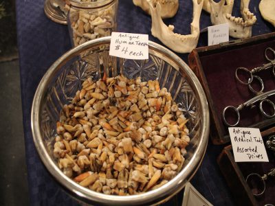 Sights And Sounds Of The Morbid Anatomy Summer Flea Market BKMAG