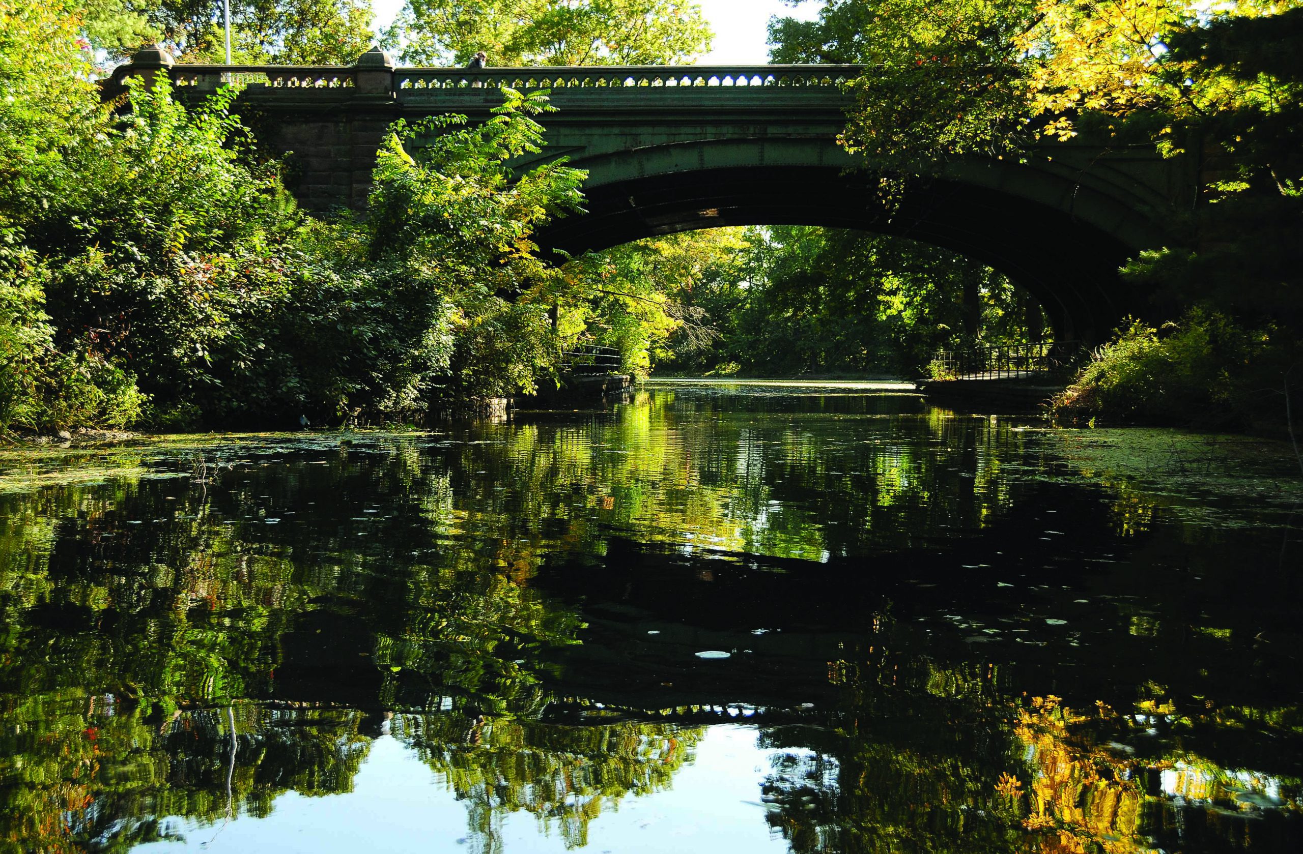 The Most Beautiful Photographs of Prospect Park You’ve Ever Seen