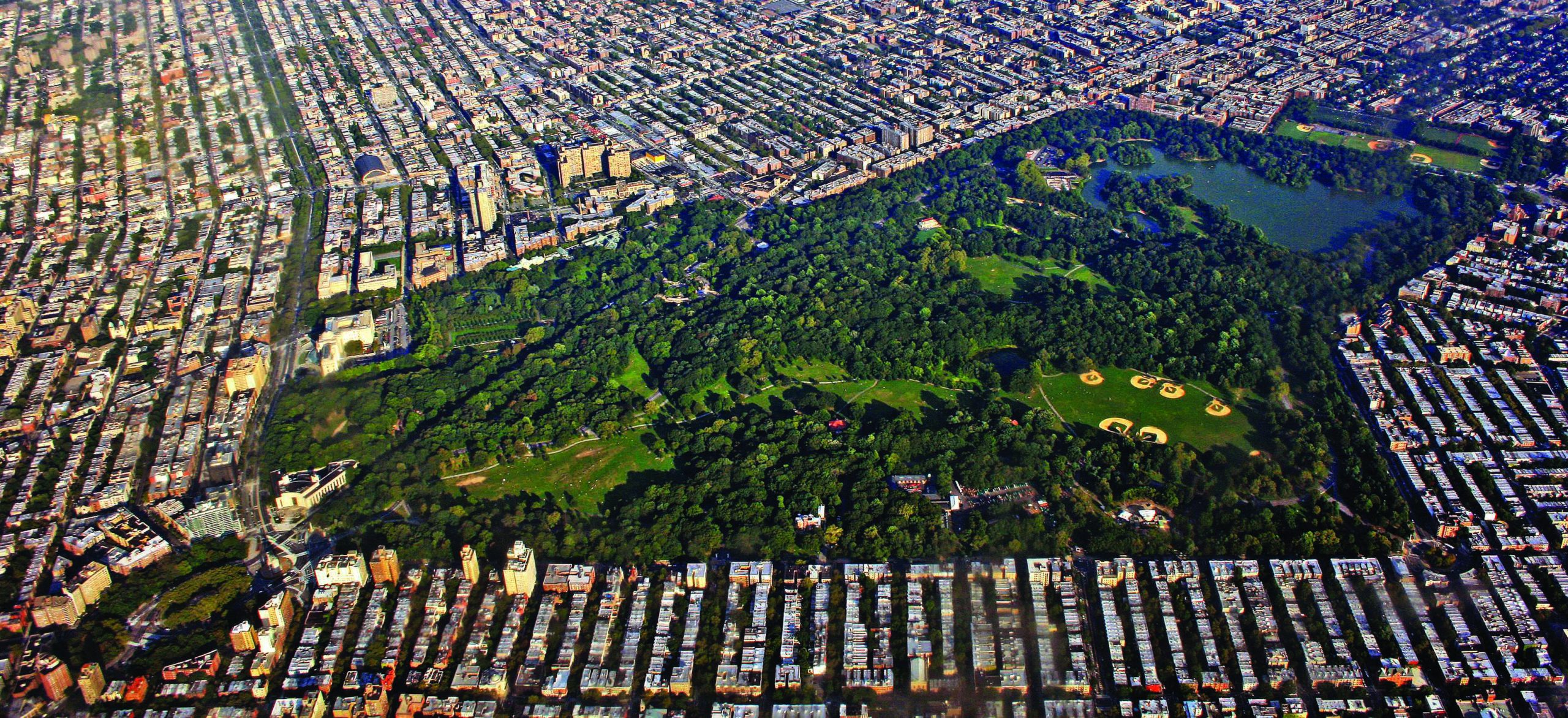 The Most Beautiful Photographs of Prospect Park You’ve Ever Seen