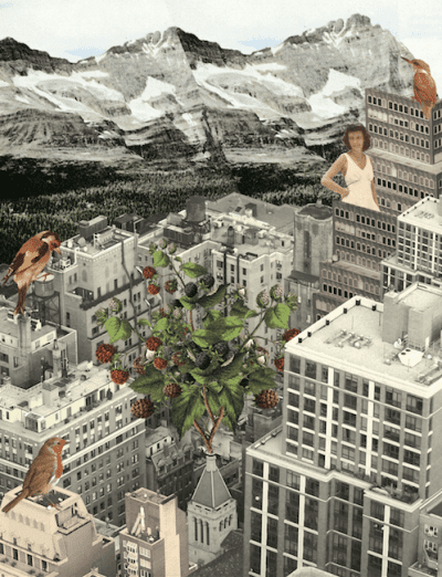 Eight Brooklyn Collage Artists You Need to Know - BKMAG