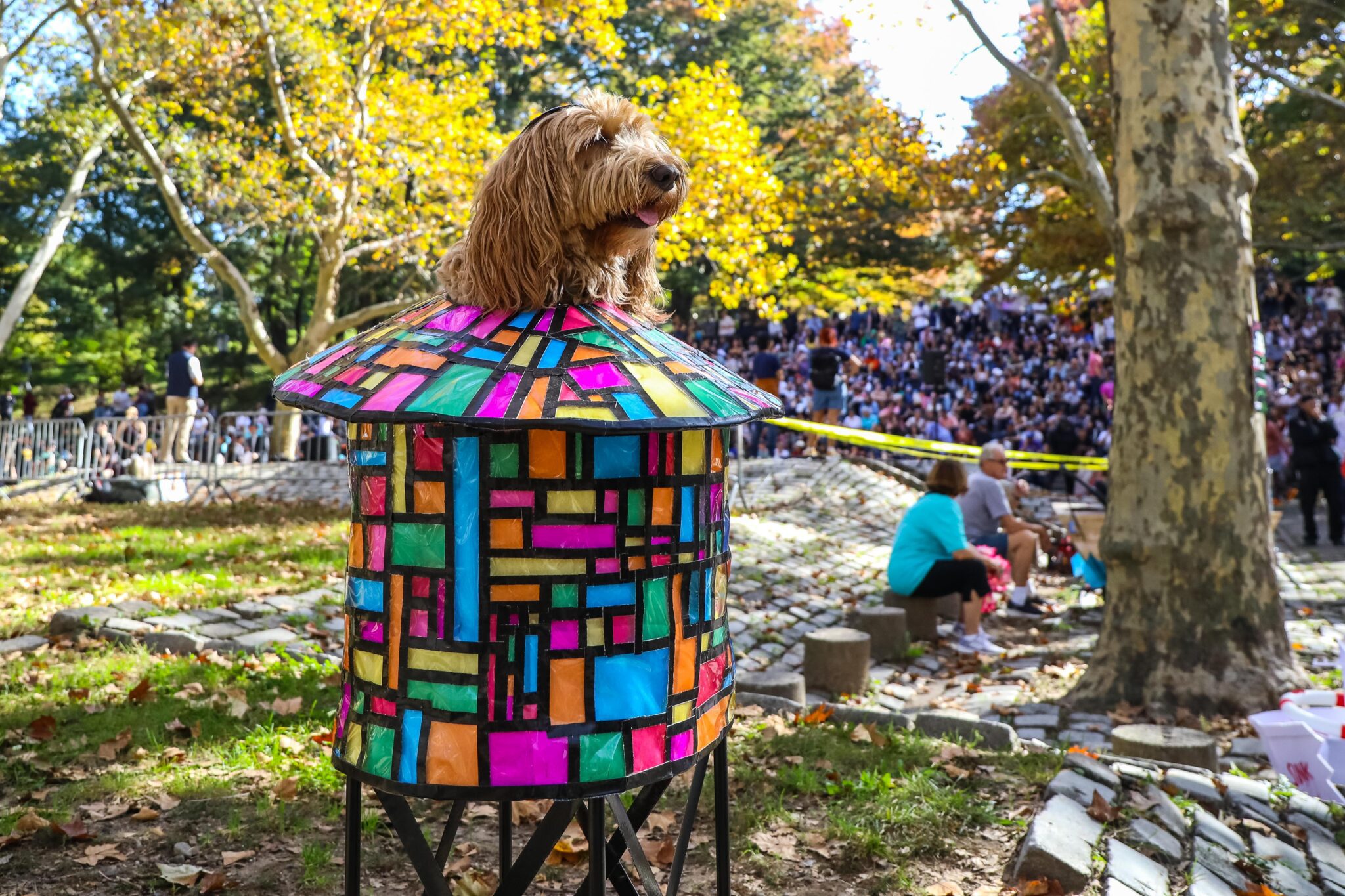 Meet The Good Doggos At The 25th Annual Great PUPkin Costume Contest ...