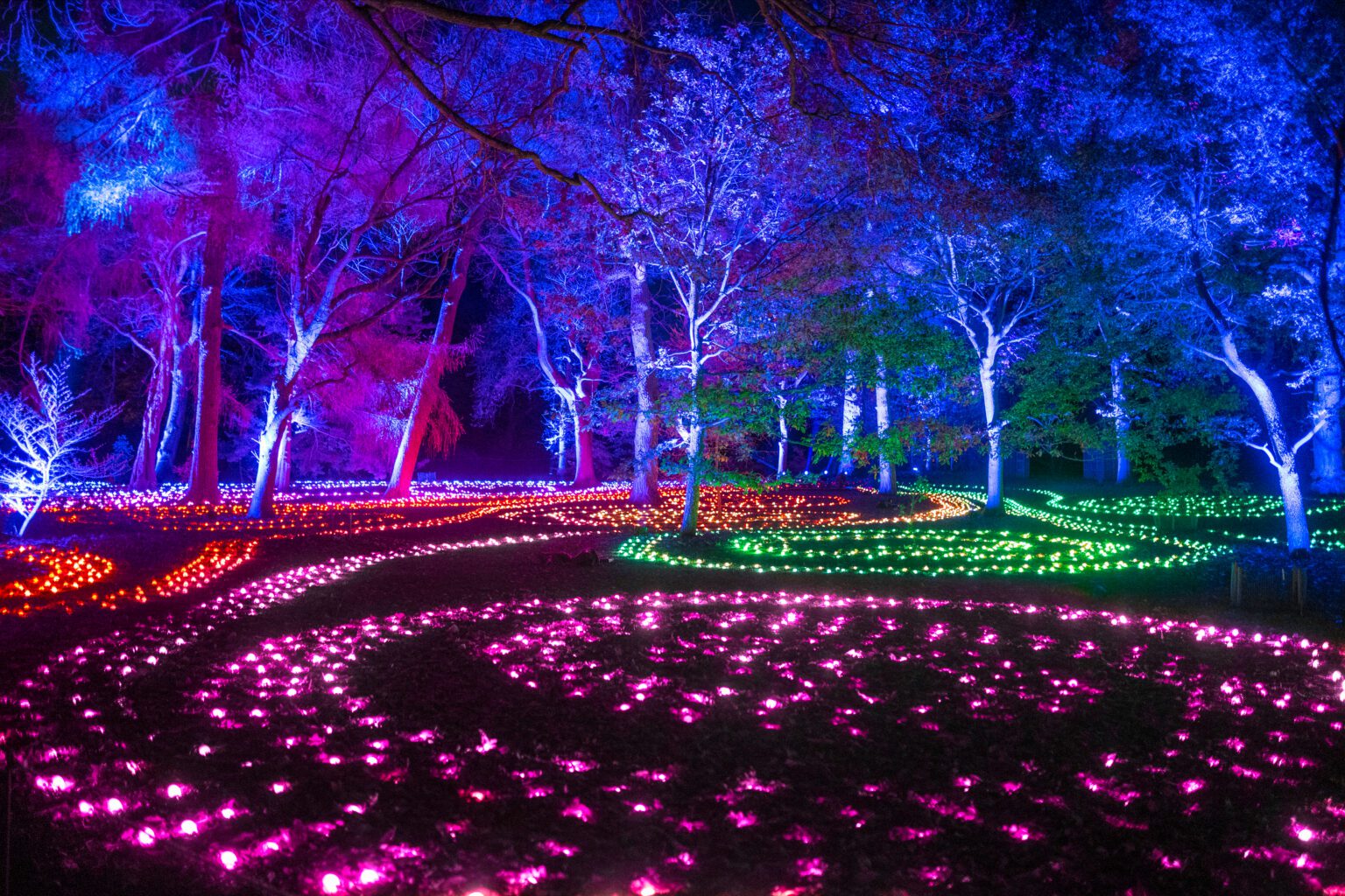 Preview: Brooklyn Botanic Garden’s Stunning Holiday Lightscape Returns ...