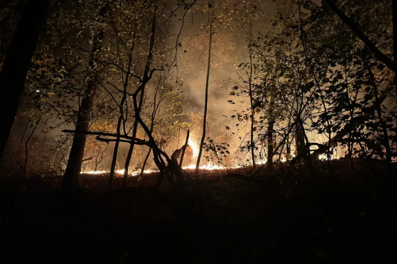 Prospect Park brush fire